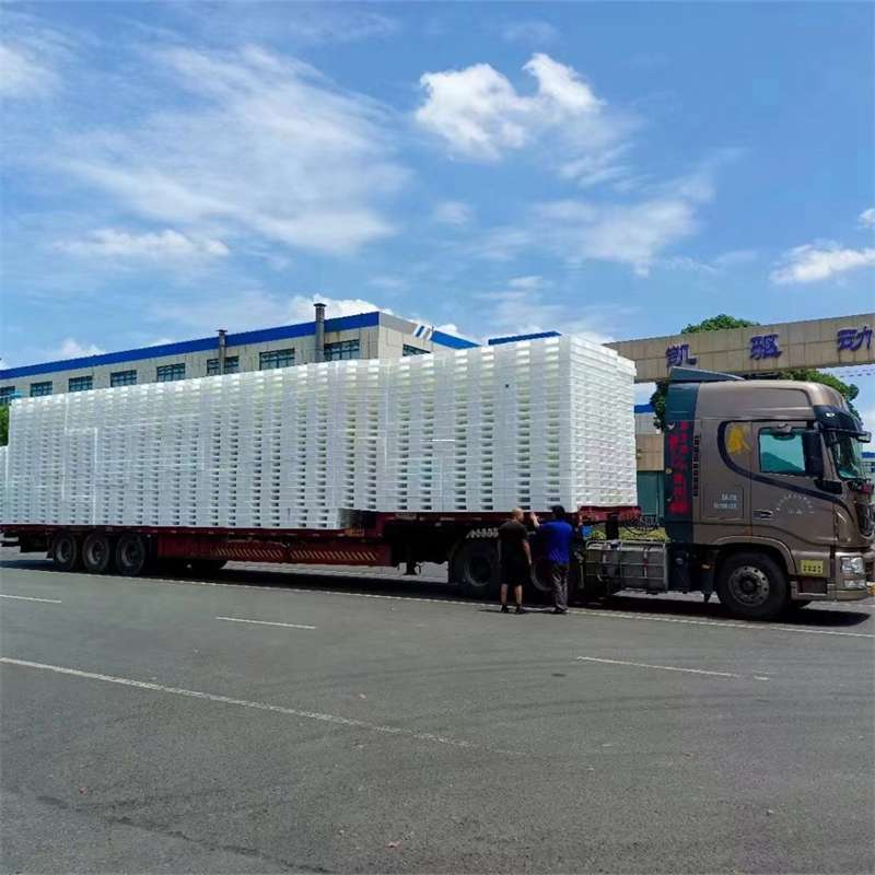 丽水到滁州物流公司，专业运输服务为您保驾护航